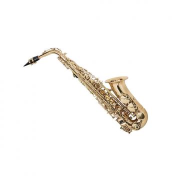 Custom Eb Alto Saxophone Gold Lacquer Finish, Pad Saver, Neck Strap, Hard Case (609436)