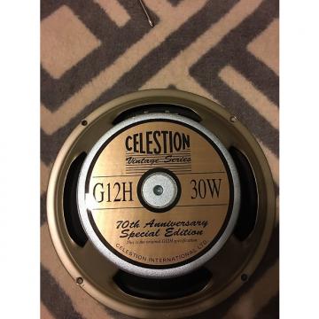 Custom Celestion G12H 30 Watt Anniversary Edition 16 Ohm
