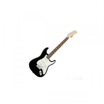 Custom Standard Stratocaster, Black Tint, Rosewood Fingerboard
