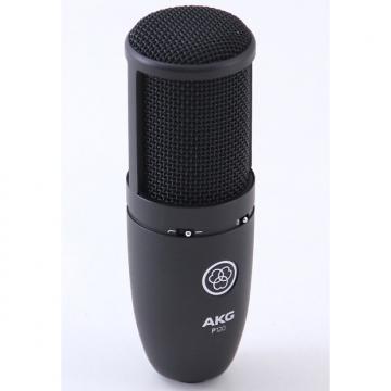 Custom AKG P120 Condenser Cardioid Microphone MC-1891