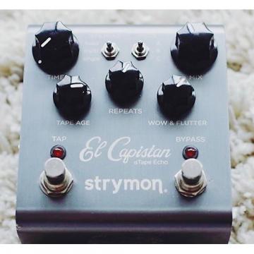 Custom Strymon El Capistan
