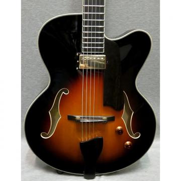 Custom Eastman  AR503CE-SB Sunburst Electric Hollow Body Guitar With Hardshell Case