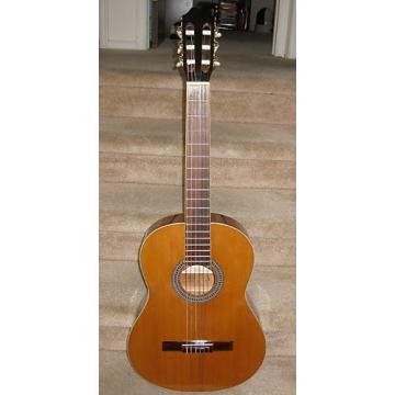 Custom Antonio Hermosa Cedar Top Classical Guitar