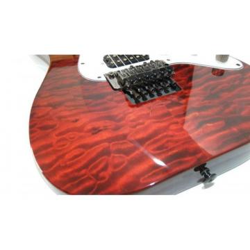 Custom Shop Schecter Flame Maple Top Red Wine Electric Guitar