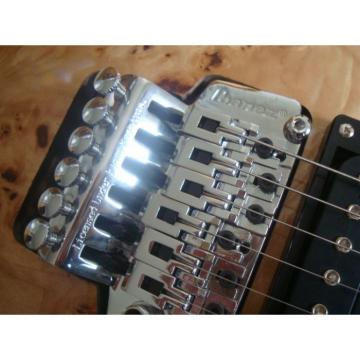 Custom Shop Ibanez Dead Wood Electric Guitar