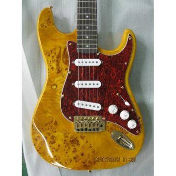 Custom Made Deadwood Strat Fender Electric Guitar