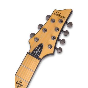 Schecter Jeff Loomis-7 7-String Electric Guitar (Vampyre Red Satin)