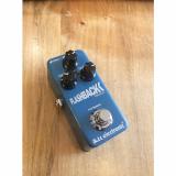 Custom TC Electronic Flashback Mini Delay