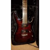 Custom ESP LTD MH-250 NT