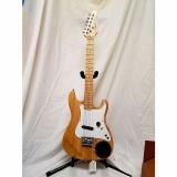 Custom Viper Jr Electric Guitar by BGuitars Model GE36