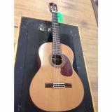 Custom Sunlite  Nylon Acoustic