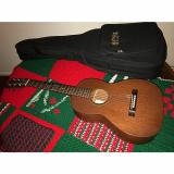 Custom Martin 5-15