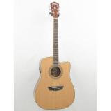 Washburn Apprentice Model WD10CE Dreadnought Acoustic Electric Guitar