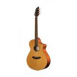 Breedlove Model Passport Acoustic Electric Guitar With Gigbag