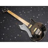 Custom Shop EVH Wolfgang Shop Black Electric Guitar