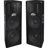 Peavey PV 215 Speaker Pair