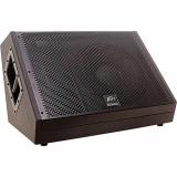 Peavey SP 12M MkII 12" Two-Way Floor Monitor