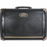 Peavey Ecoustic E208 30W 2x8 Acoustic Combo Amp Brown