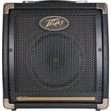 Peavey Ecoustic E20 20W 1x8 Acoustic Combo Amp Brown