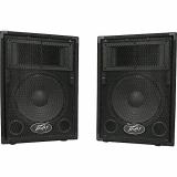 Peavey PVi 10 10" PA Speaker Cabinet Pair