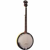 Washburn B9 Banjo Sunburst