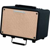 Ibanez Troubadour T30 30W Acoustic Combo Amp Black